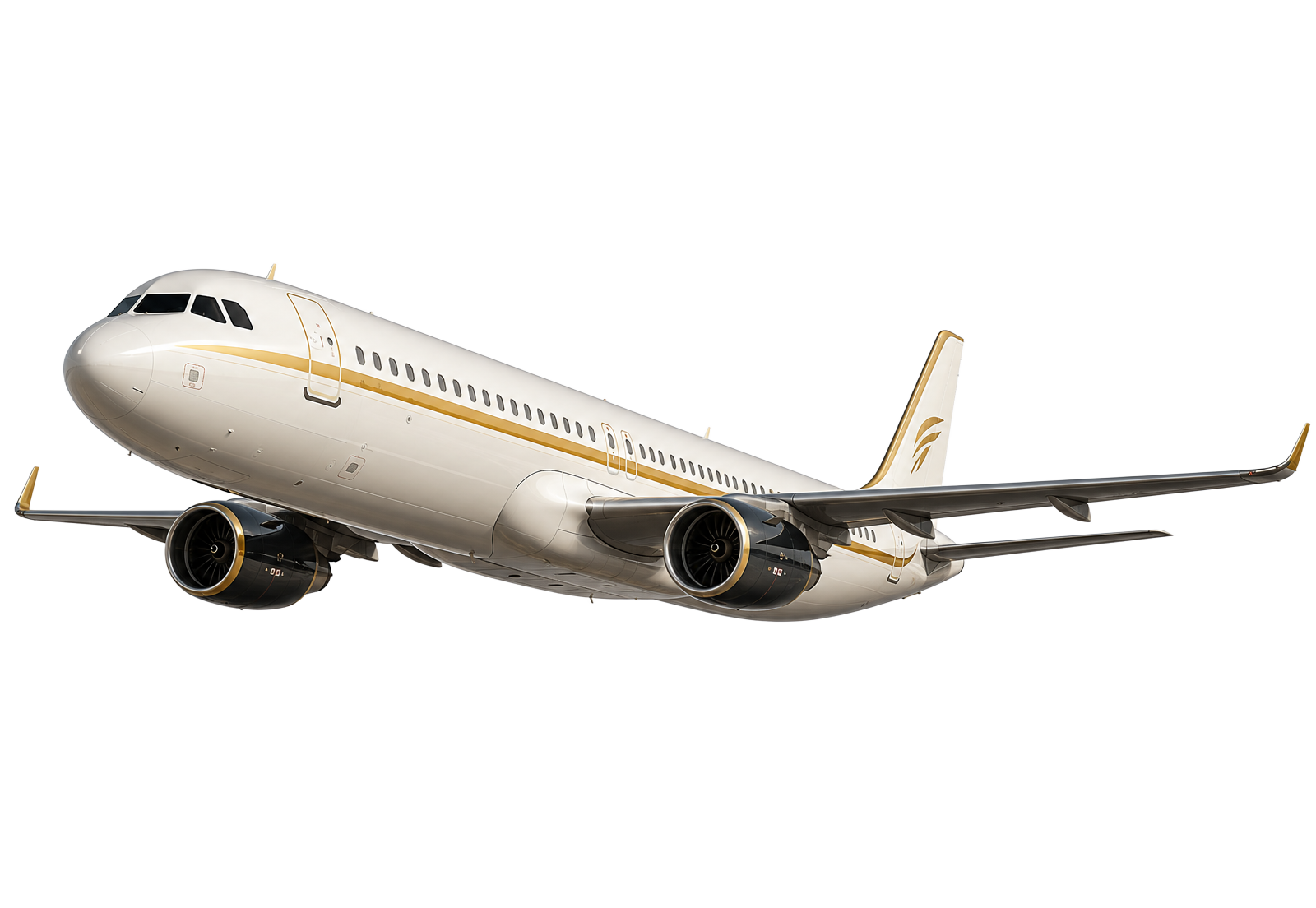 Luxury private jet